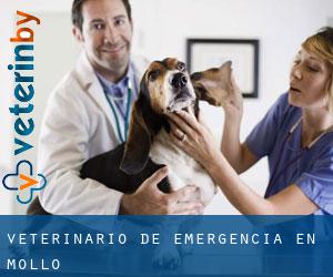 Veterinario de emergencia en Molló