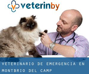 Veterinario de emergencia en Montbrió del Camp