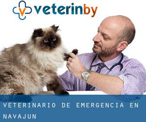 Veterinario de emergencia en Navajún