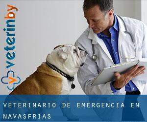 Veterinario de emergencia en Navasfrías