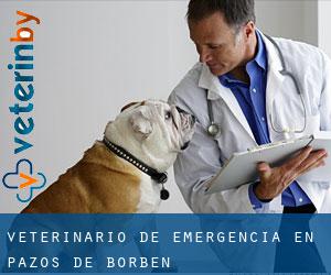 Veterinario de emergencia en Pazos de Borben