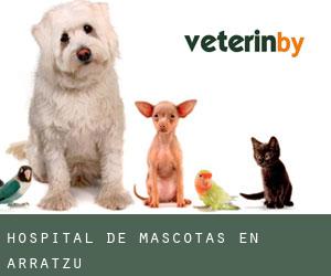 Hospital de mascotas en Arratzu