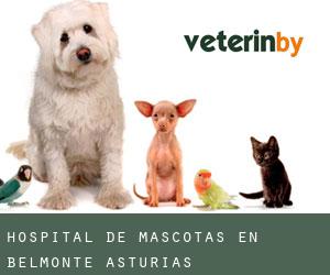 Hospital de mascotas en Belmonte (Asturias)