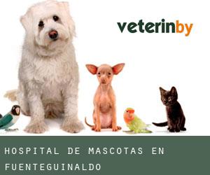 Hospital de mascotas en Fuenteguinaldo