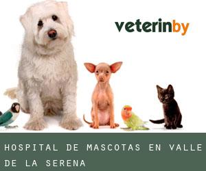 Hospital de mascotas en Valle de la Serena