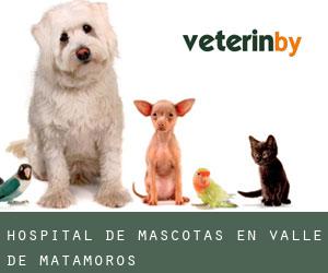 Hospital de mascotas en Valle de Matamoros