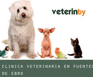 Clínica veterinaria en Fuentes de Ebro