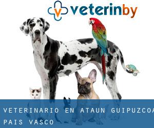 veterinario en Ataun (Guipúzcoa, País Vasco)