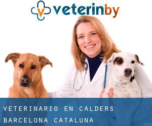 veterinario en Calders (Barcelona, Cataluña)