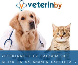 veterinario en Calzada de Béjar (La) (Salamanca, Castilla y León)