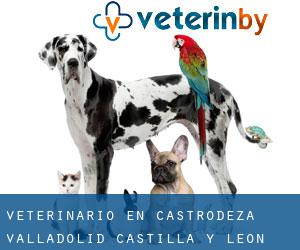 veterinario en Castrodeza (Valladolid, Castilla y León)