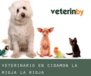 veterinario en Cidamón (La Rioja, La Rioja)