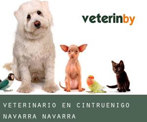 veterinario en Cintruénigo (Navarra, Navarra)