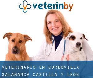 veterinario en Cordovilla (Salamanca, Castilla y León)