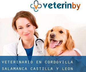 veterinario en Cordovilla (Salamanca, Castilla y León)