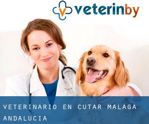 veterinario en Cútar (Málaga, Andalucía)