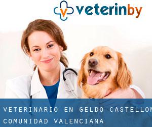 veterinario en Geldo (Castellón, Comunidad Valenciana)