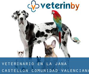 veterinario en la Jana (Castellón, Comunidad Valenciana)