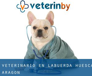 veterinario en Labuerda (Huesca, Aragón)