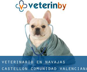 veterinario en Navajas (Castellón, Comunidad Valenciana)
