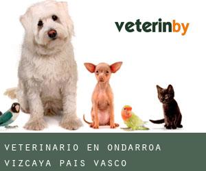 veterinario en Ondarroa (Vizcaya, País Vasco)