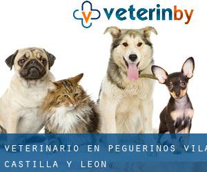 veterinario en Peguerinos (Ávila, Castilla y León)