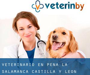 veterinario en Peña (La) (Salamanca, Castilla y León)