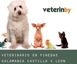 veterinario en Pinedas (Salamanca, Castilla y León)