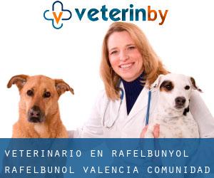 veterinario en Rafelbunyol / Rafelbuñol (Valencia, Comunidad Valenciana)