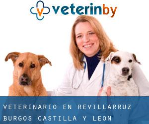veterinario en Revillarruz (Burgos, Castilla y León)