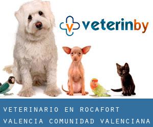 veterinario en Rocafort (Valencia, Comunidad Valenciana)