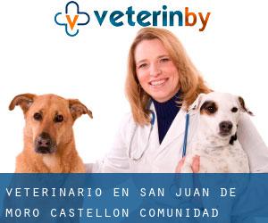 veterinario en San Juan de Moró (Castellón, Comunidad Valenciana)