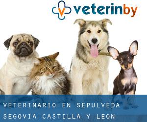 veterinario en Sepúlveda (Segovia, Castilla y León)