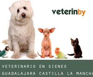 veterinario en Sienes (Guadalajara, Castilla-La Mancha)