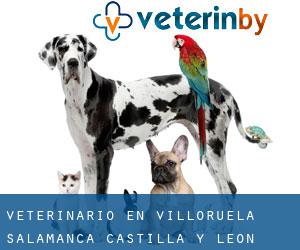 veterinario en Villoruela (Salamanca, Castilla y León)