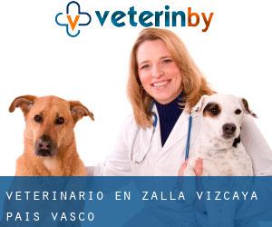 veterinario en Zalla (Vizcaya, País Vasco)