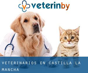 veterinarios en Castilla-La Mancha