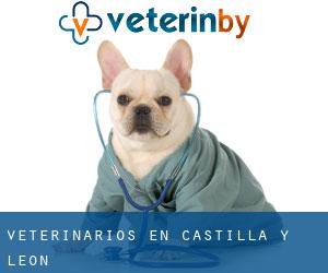 veterinarios en Castilla y León
