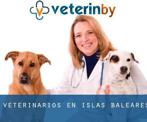 veterinarios en Islas Baleares